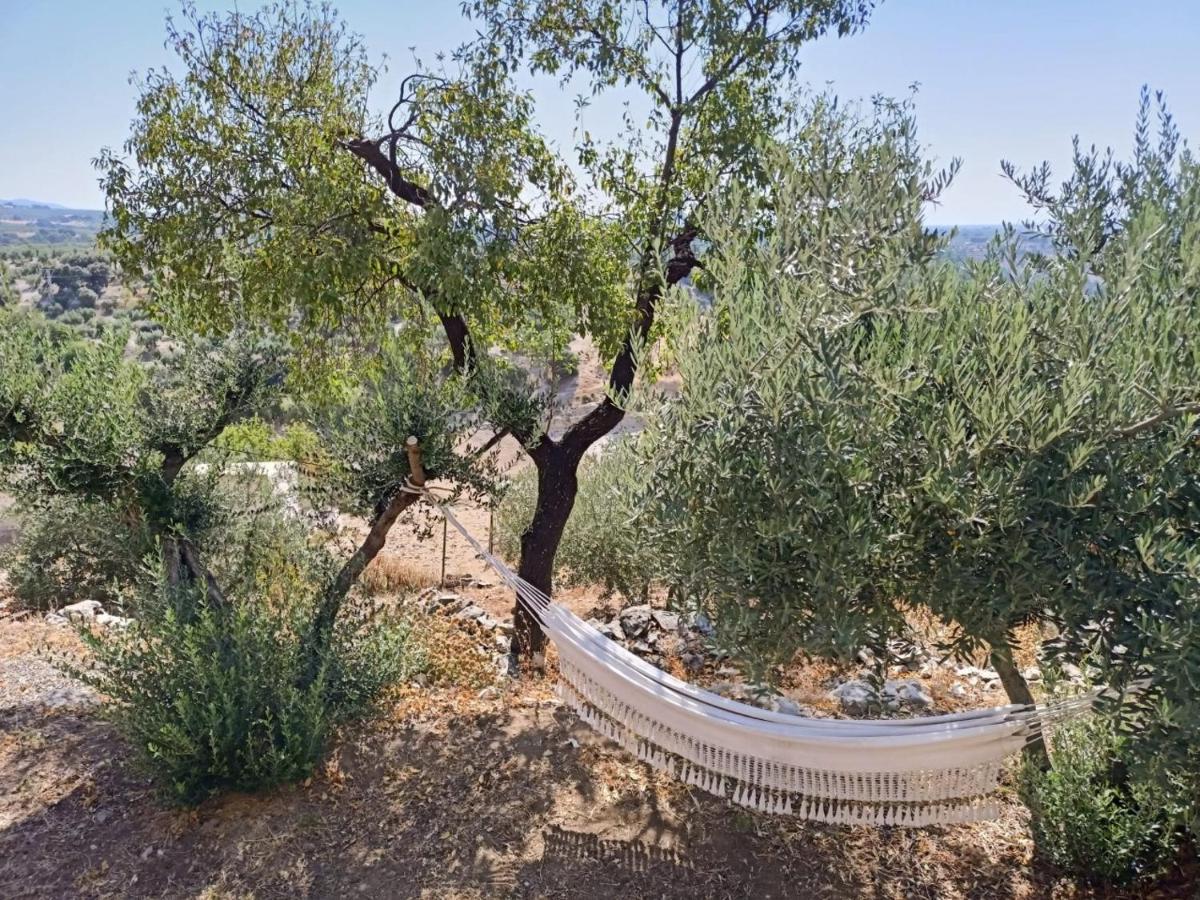 El Almendro De Fuentes Nuevas Villa Castril Ngoại thất bức ảnh