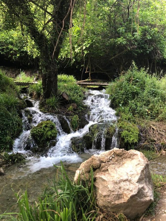 El Almendro De Fuentes Nuevas Villa Castril Ngoại thất bức ảnh